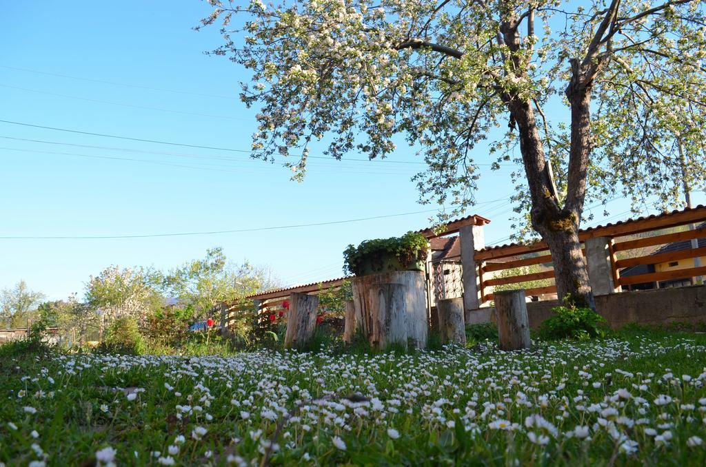Villa ריבריקה מראה חיצוני תמונה