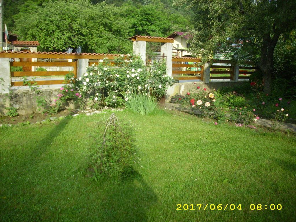 Villa ריבריקה מראה חיצוני תמונה