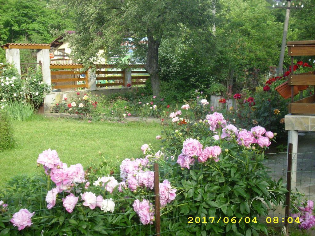 Villa ריבריקה מראה חיצוני תמונה